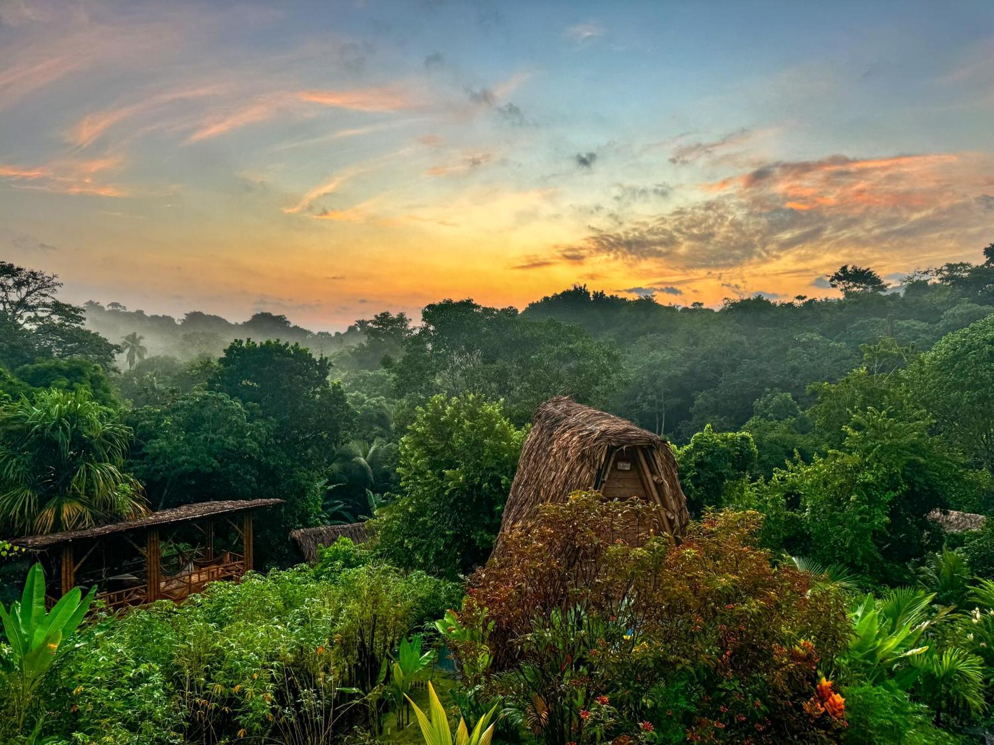 Hotel Ecohabs Bamboo Parque Tayrona - Dentro Del Pnn Tayrona El Zaino Esterno foto