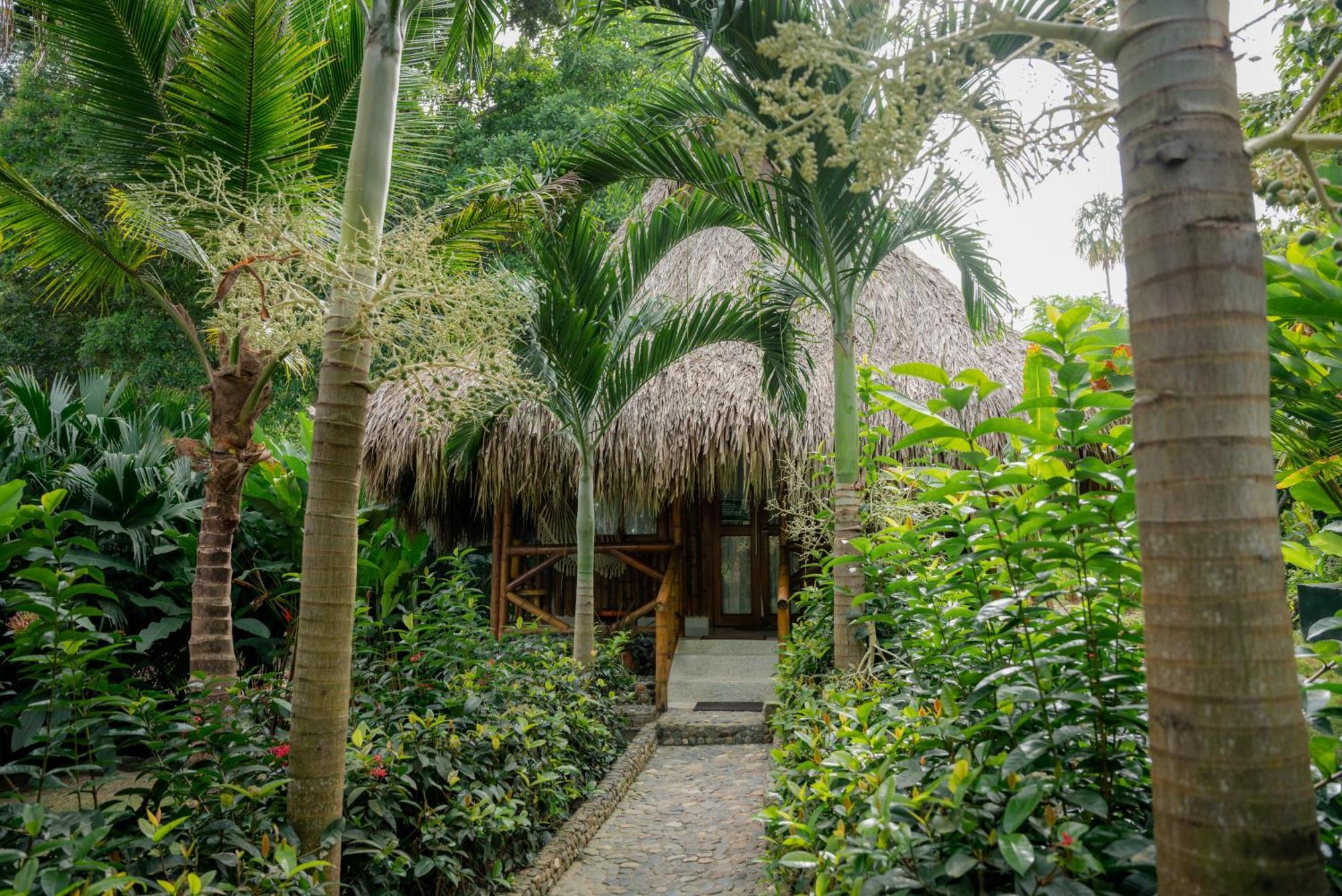Hotel Ecohabs Bamboo Parque Tayrona - Dentro Del Pnn Tayrona El Zaino Camera foto